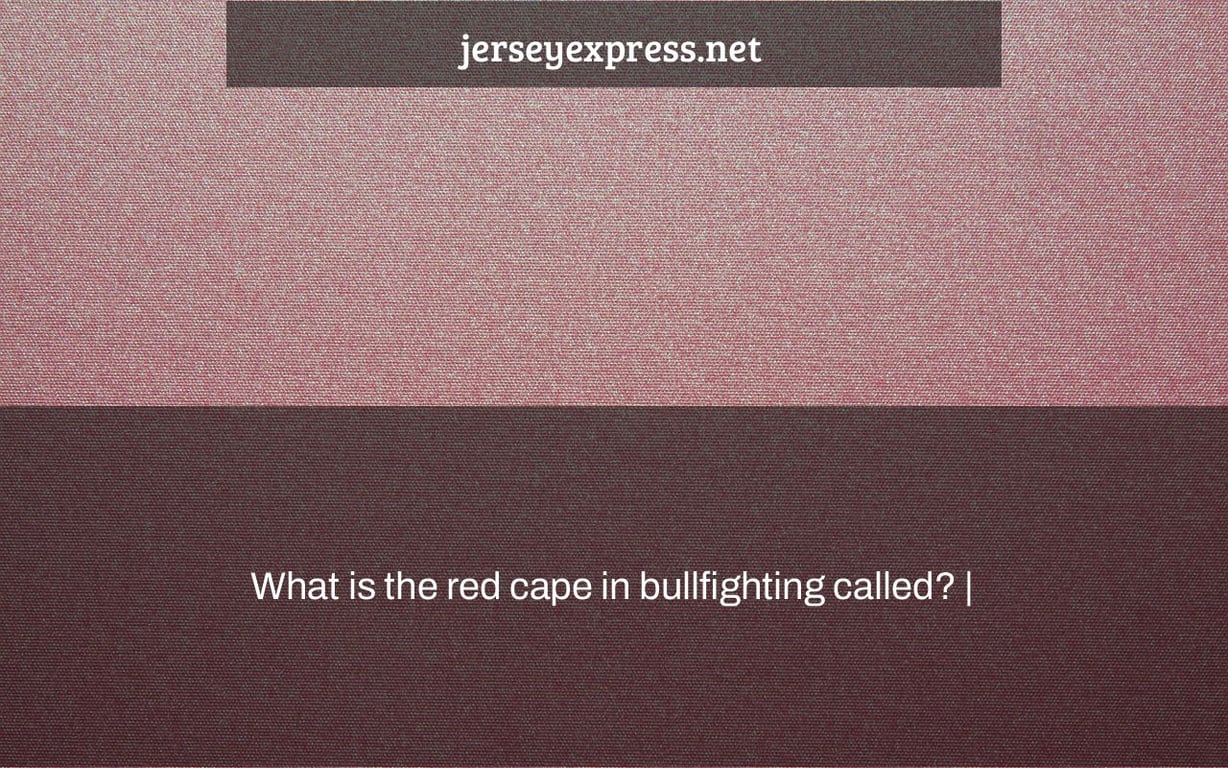 What is the red cape in bullfighting called? |