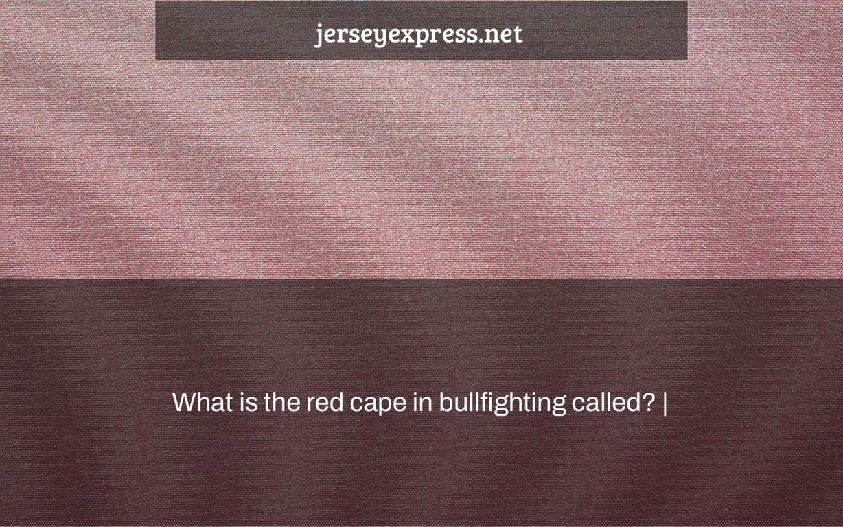 What is the red cape in bullfighting called? |