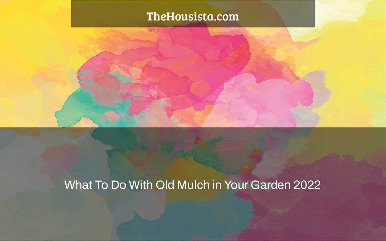 What To Do With Old Mulch in Your Garden 2022