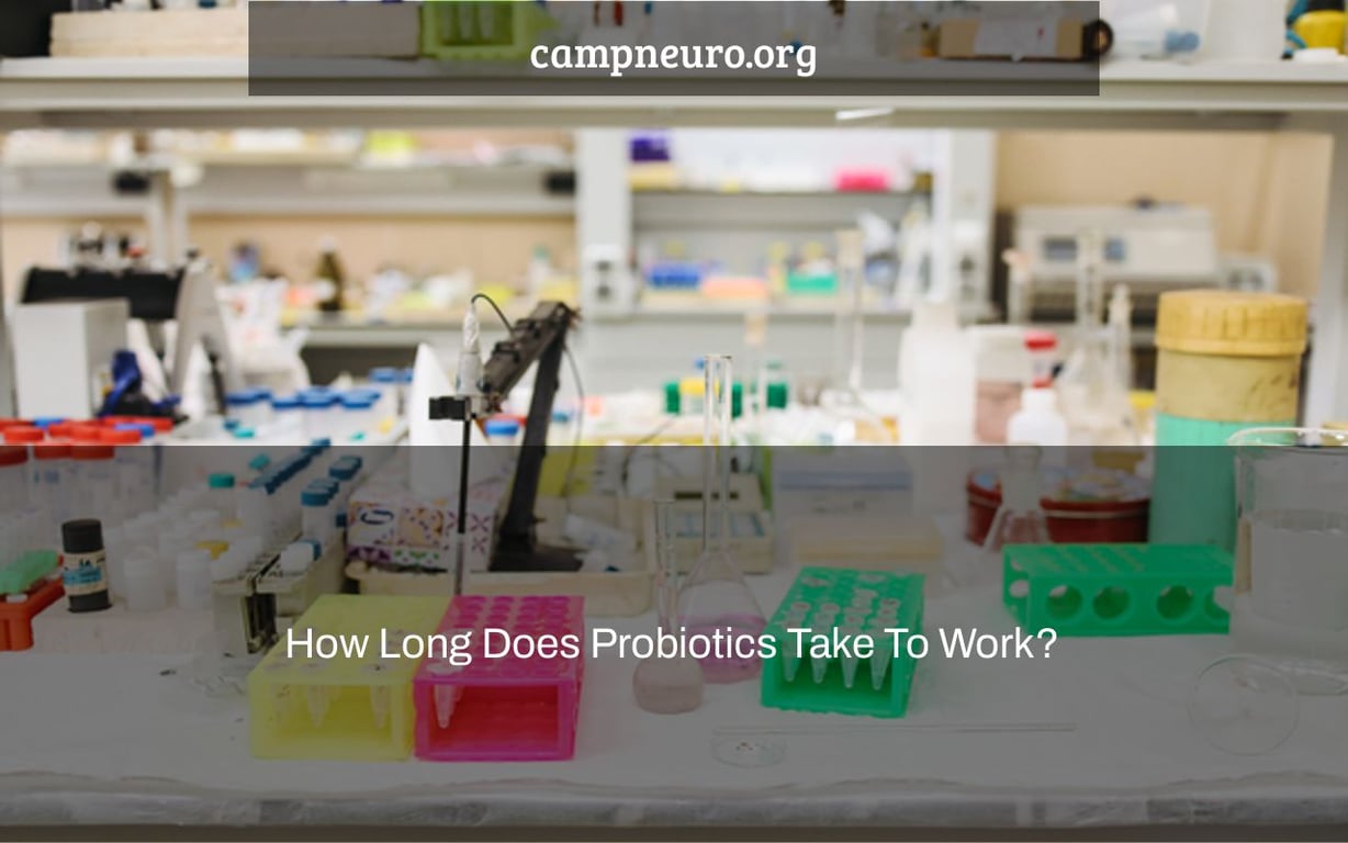 How Long Does Probiotics Take To Work? Camp Neuro