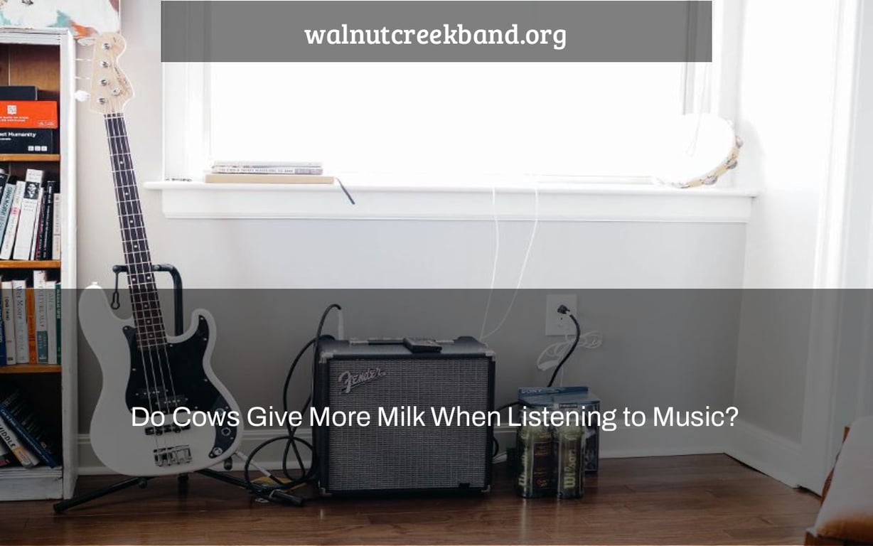 Do Cows Give More Milk When Listening to Music?