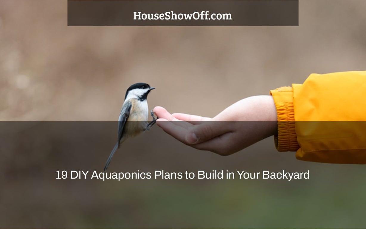 19 DIY Aquaponics Plans to Build in Your Backyard