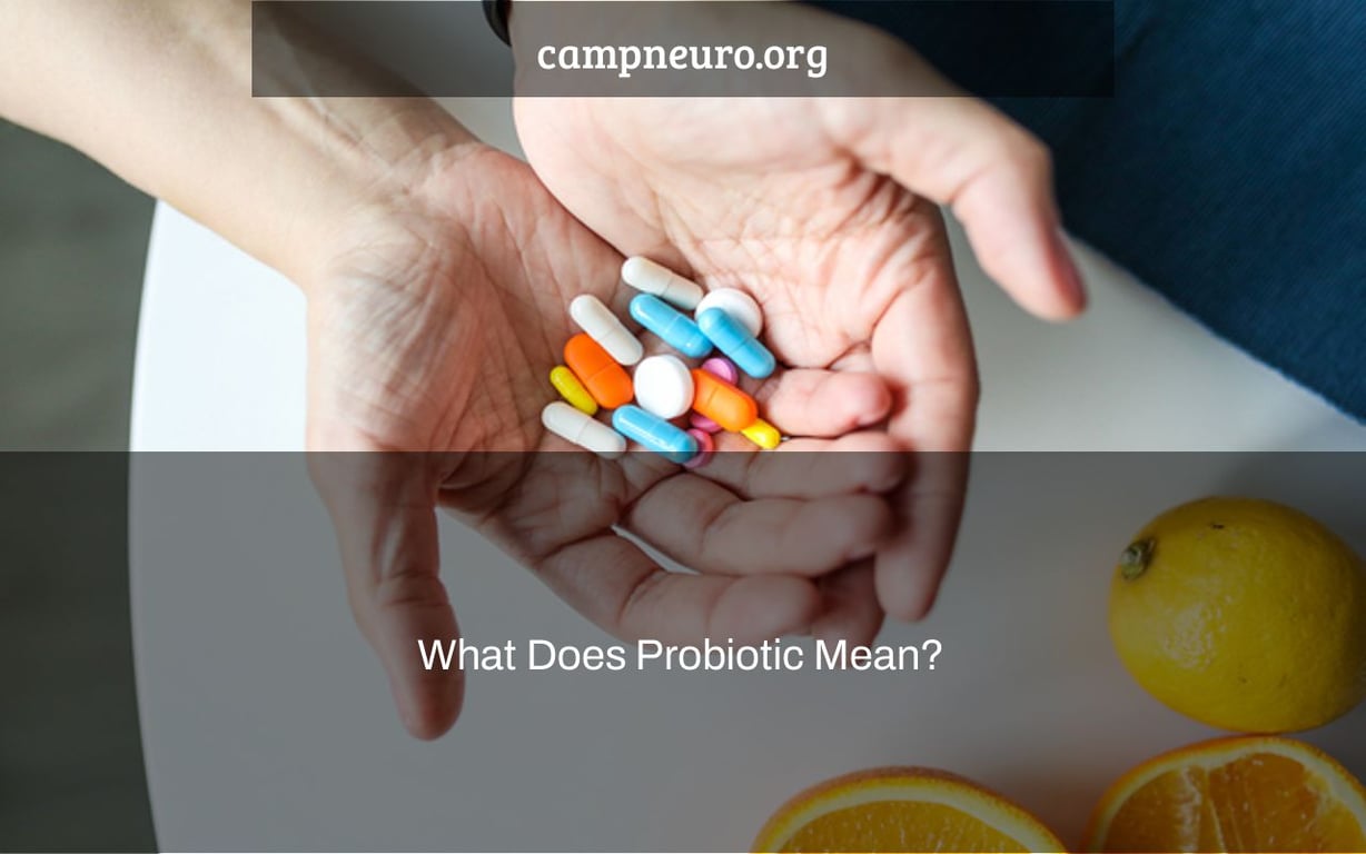 What Does Probiotic Mean?