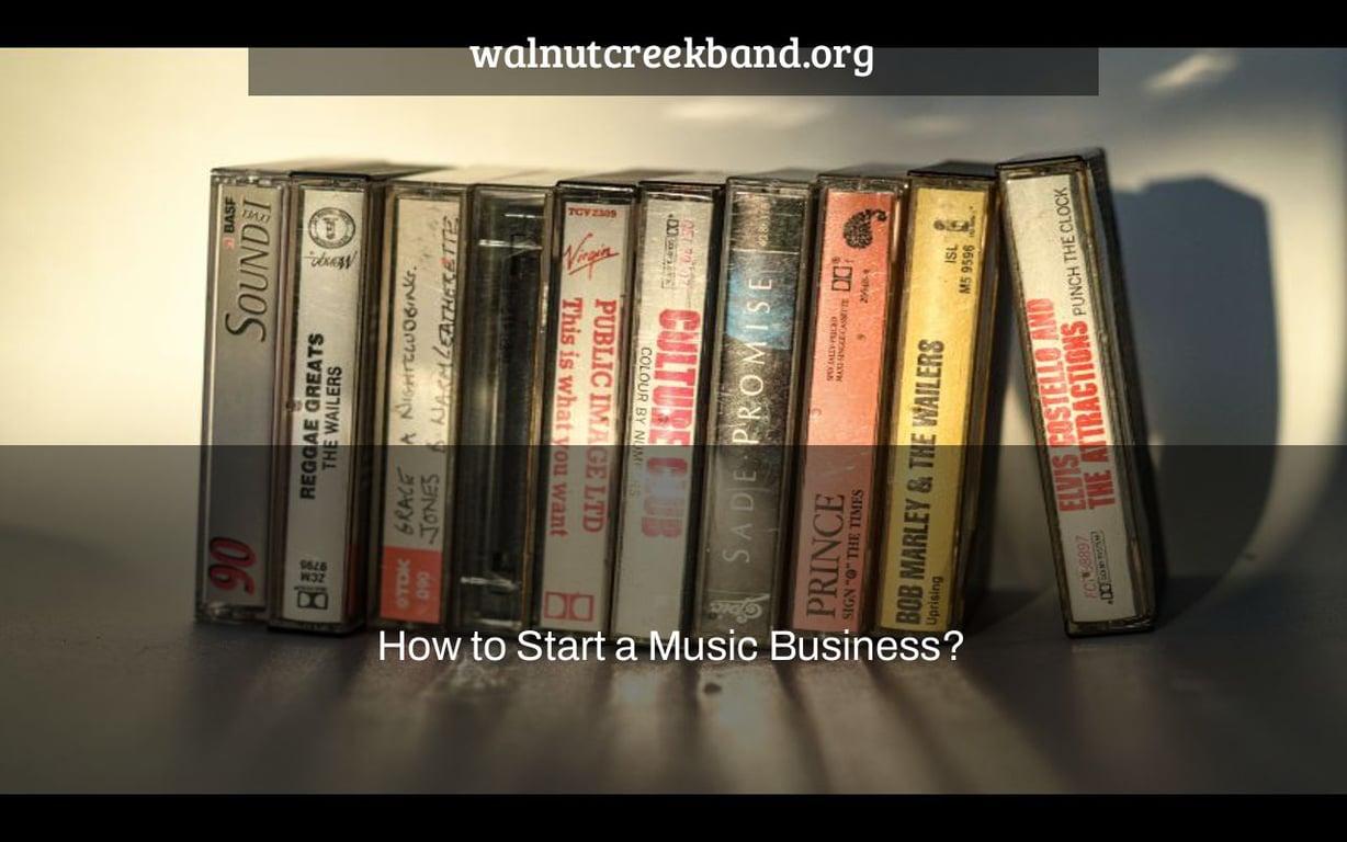 How to Start a Music Business?