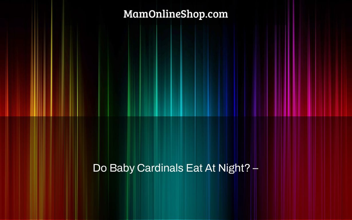 Do Baby Cardinals Eat At Night? –