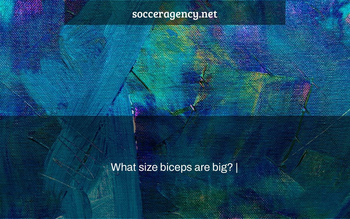 What size biceps are big? |