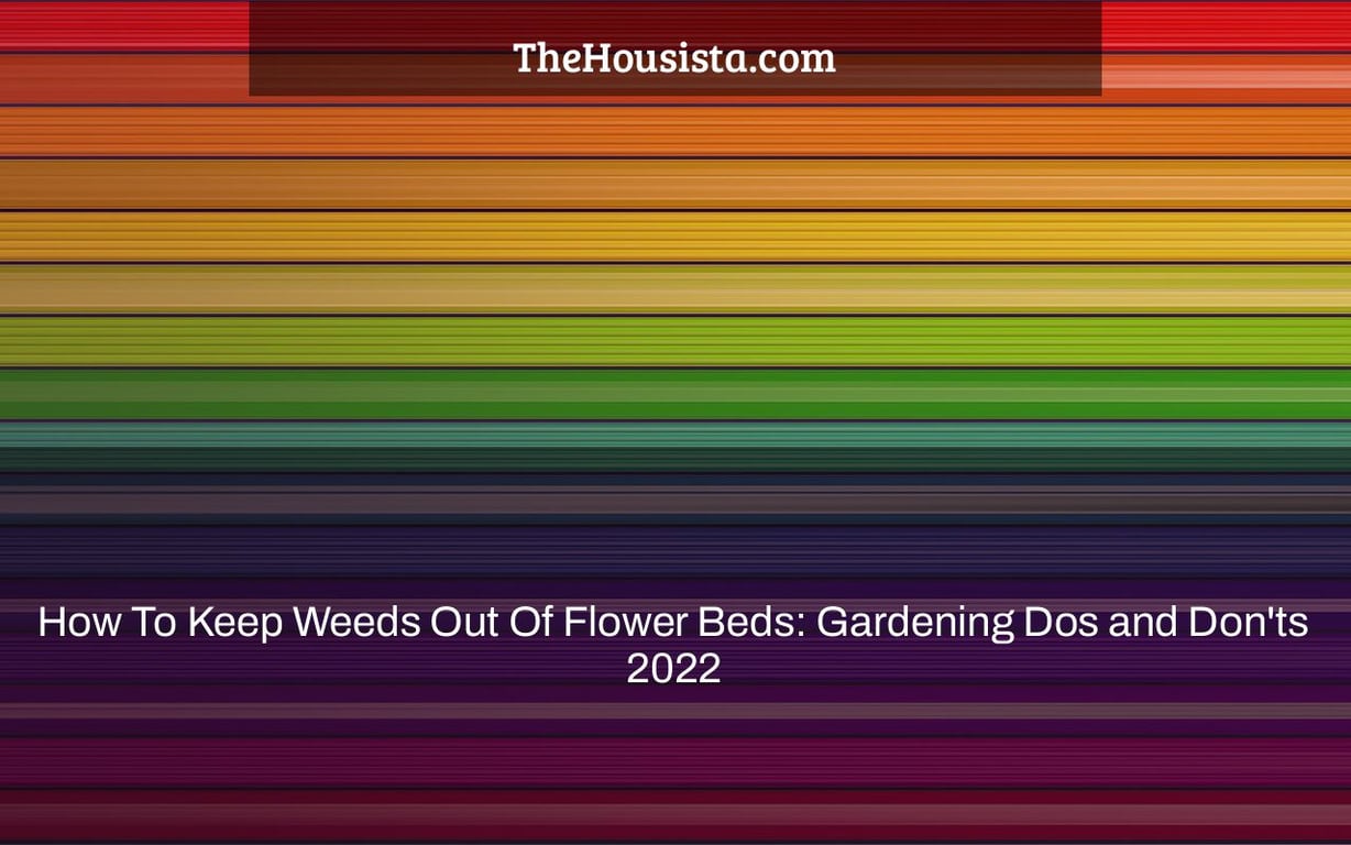 How To Keep Weeds Out Of Flower Beds: Gardening Dos and Don’ts 2022