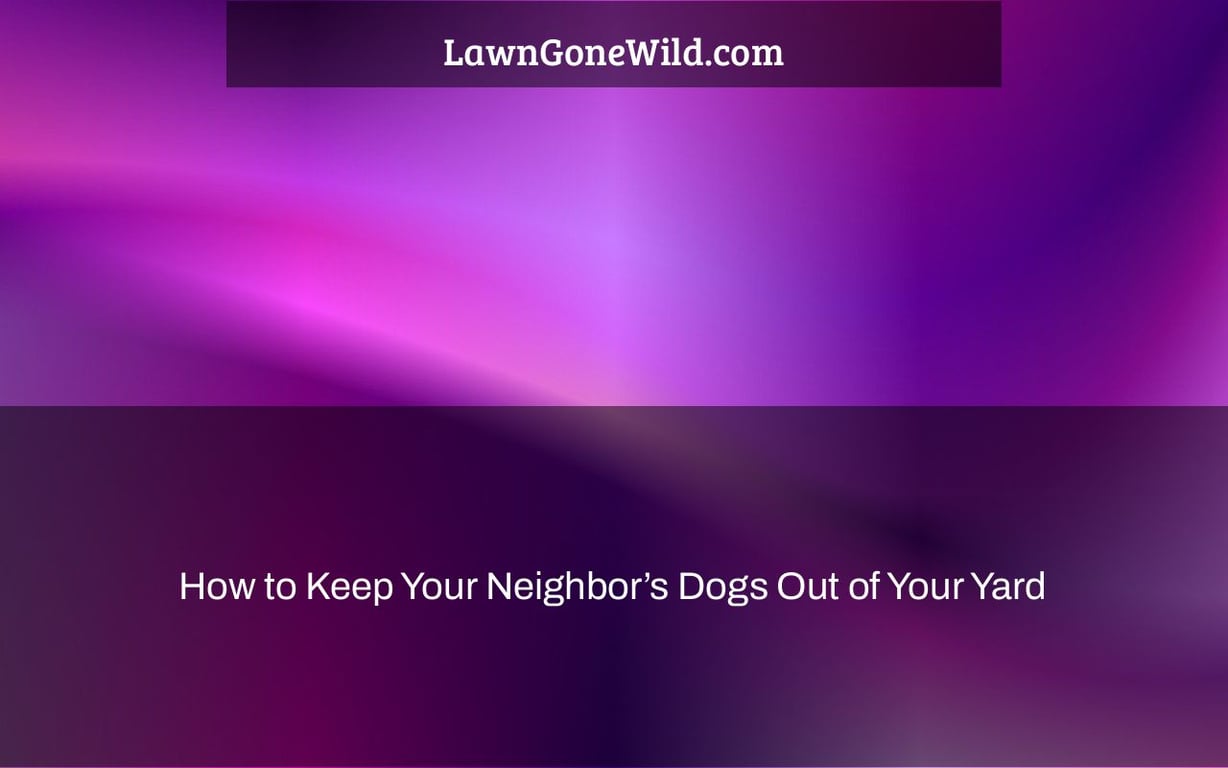 How to Keep Your Neighbor’s Dogs Out of Your Yard Lawn Gone Wild