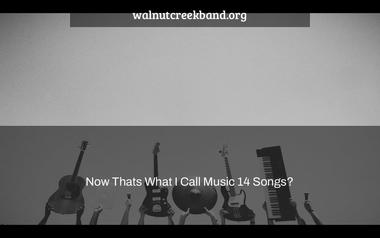 Now Thats What I Call Music 14 Songs?