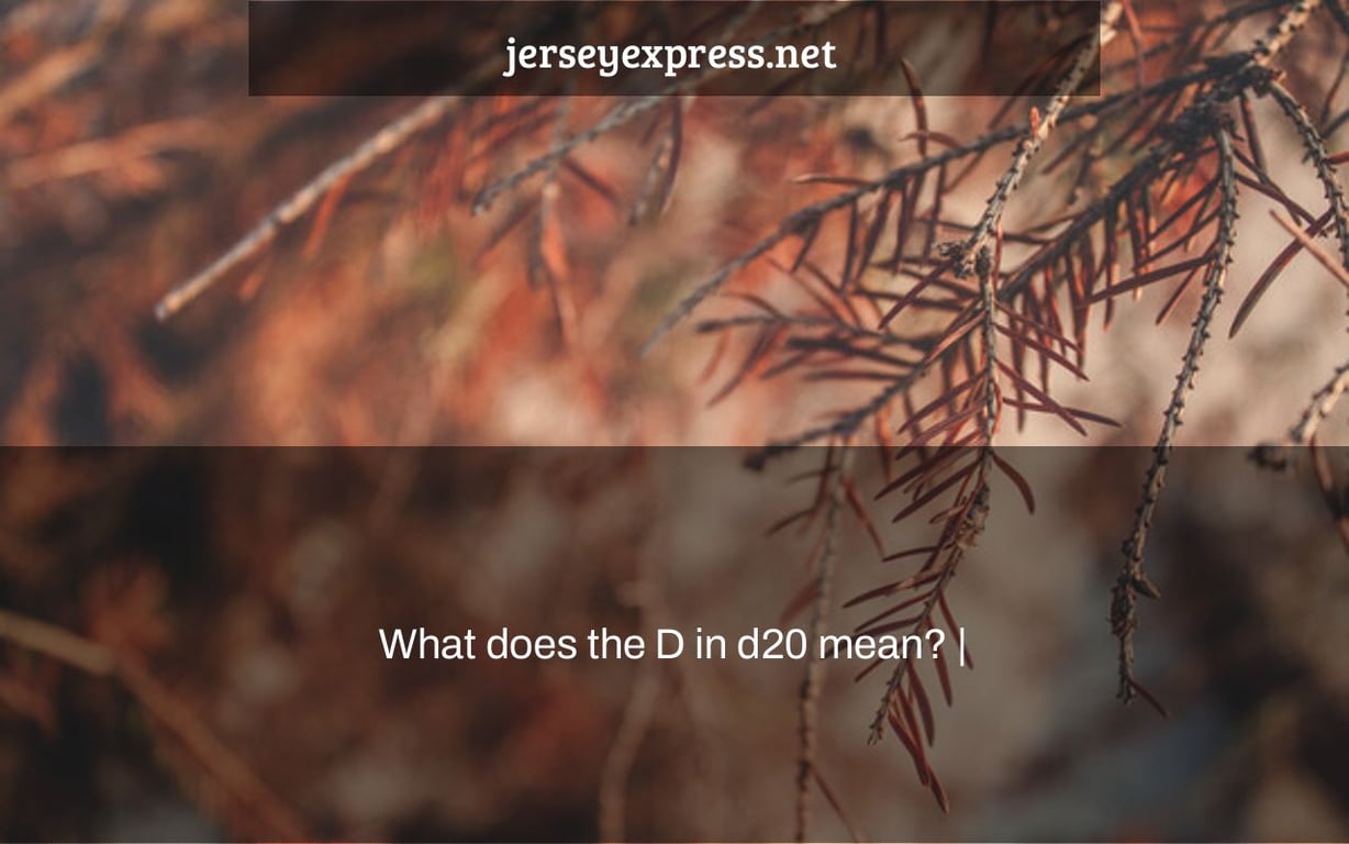 What does the D in d20 mean? |