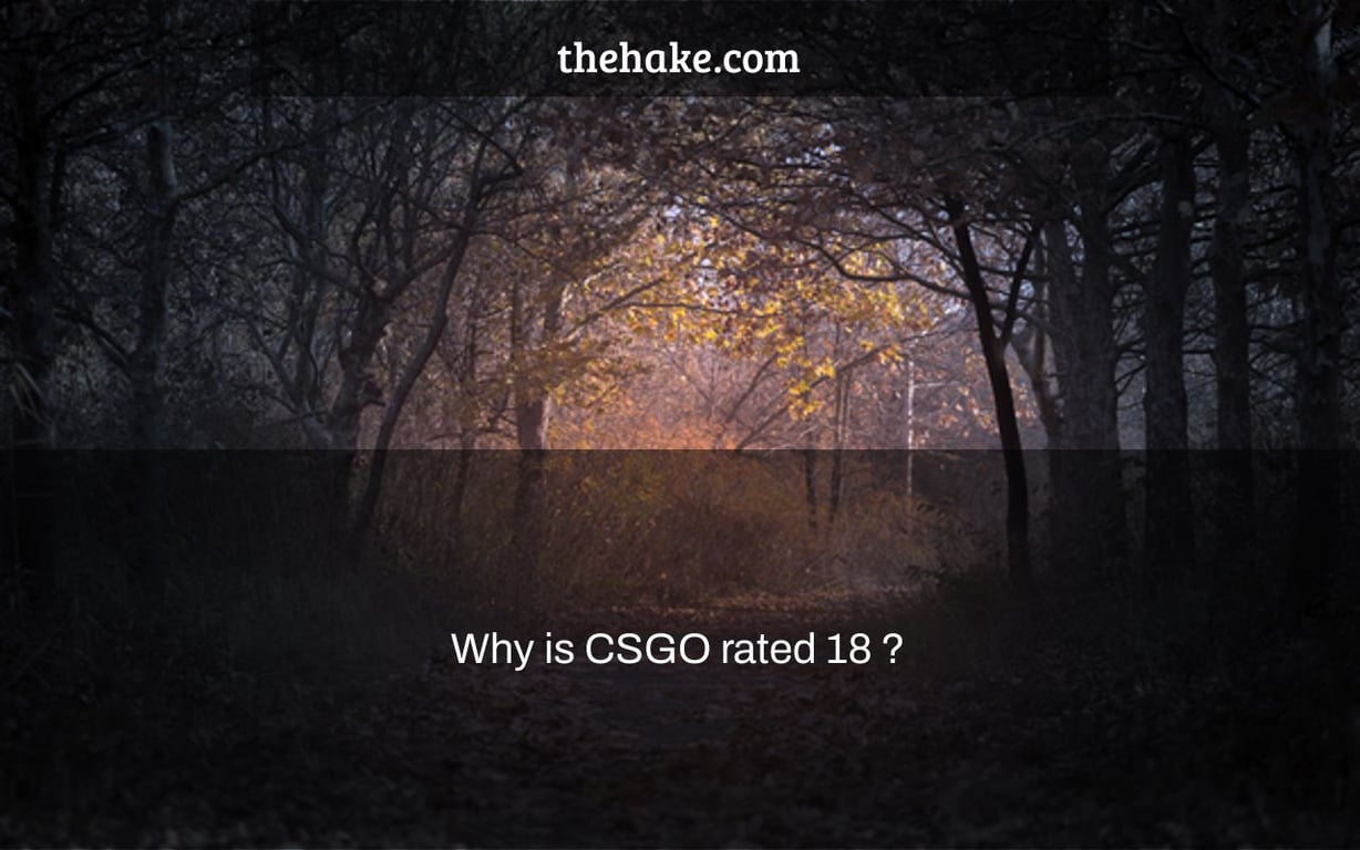 Why is CSGO rated 18+?
