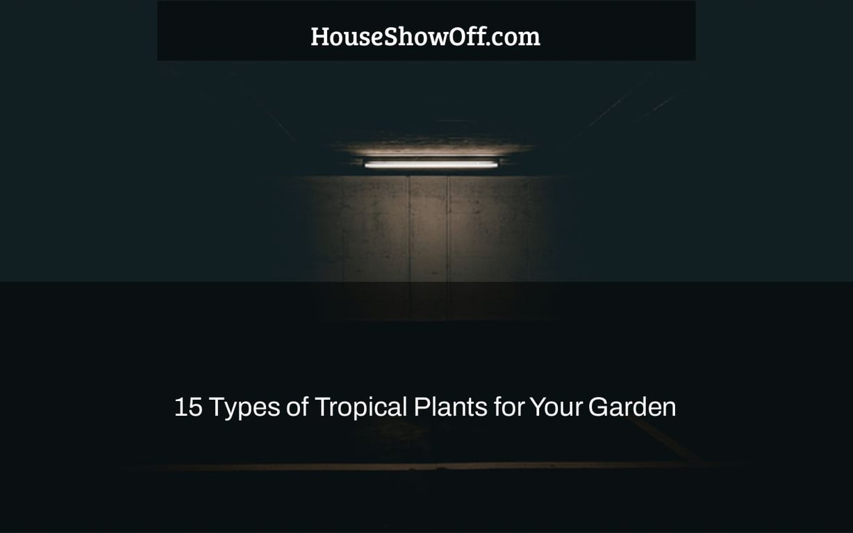 15 Types of Tropical Plants for Your Garden