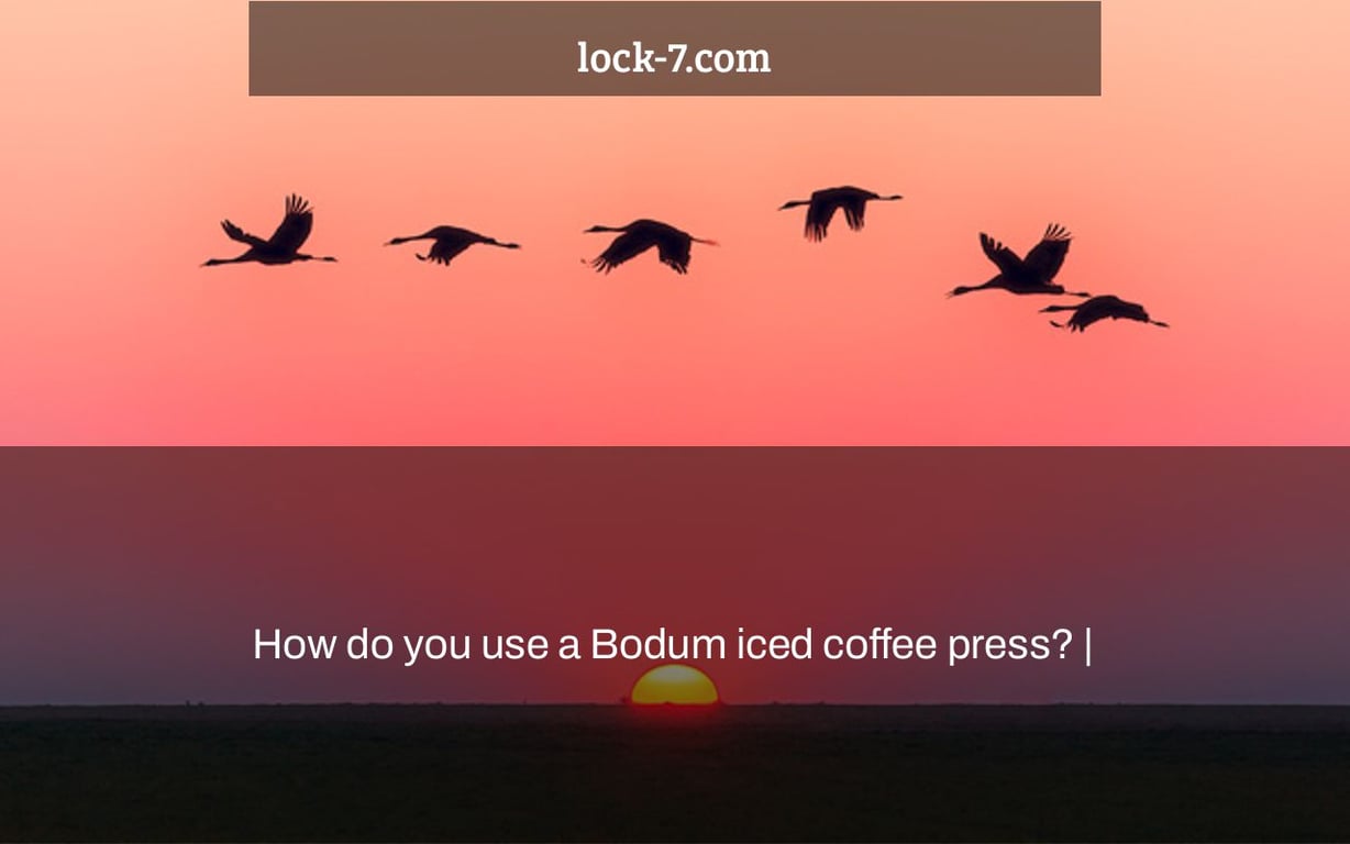 How do you use a Bodum iced coffee press? |