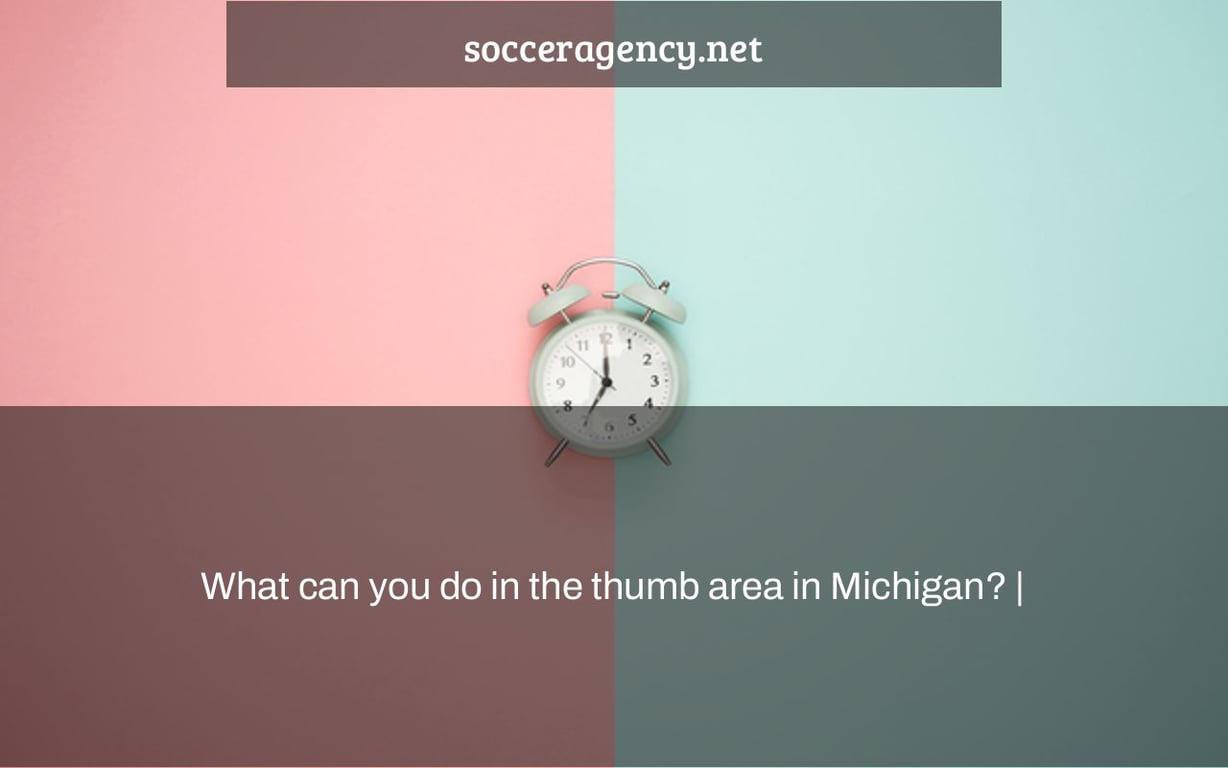 What can you do in the thumb area in Michigan? |