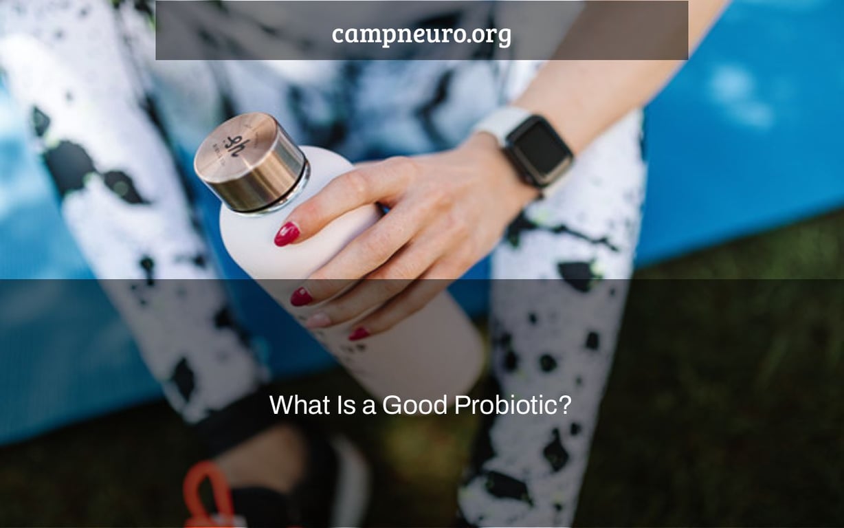 What Is a Good Probiotic?