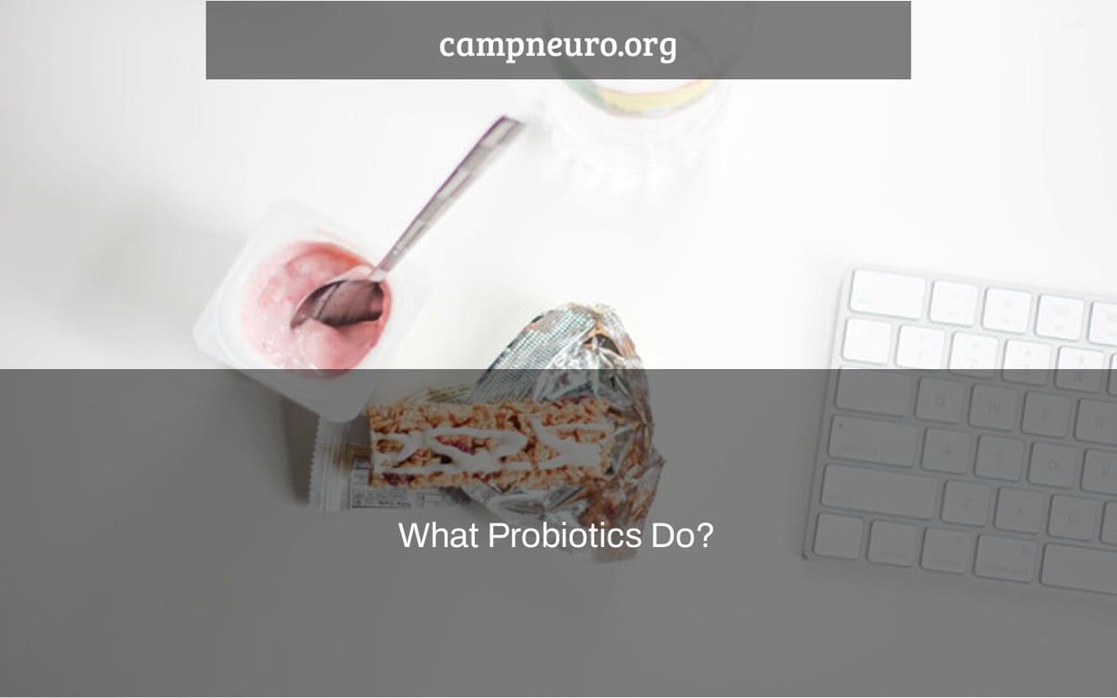 What Probiotics Do?