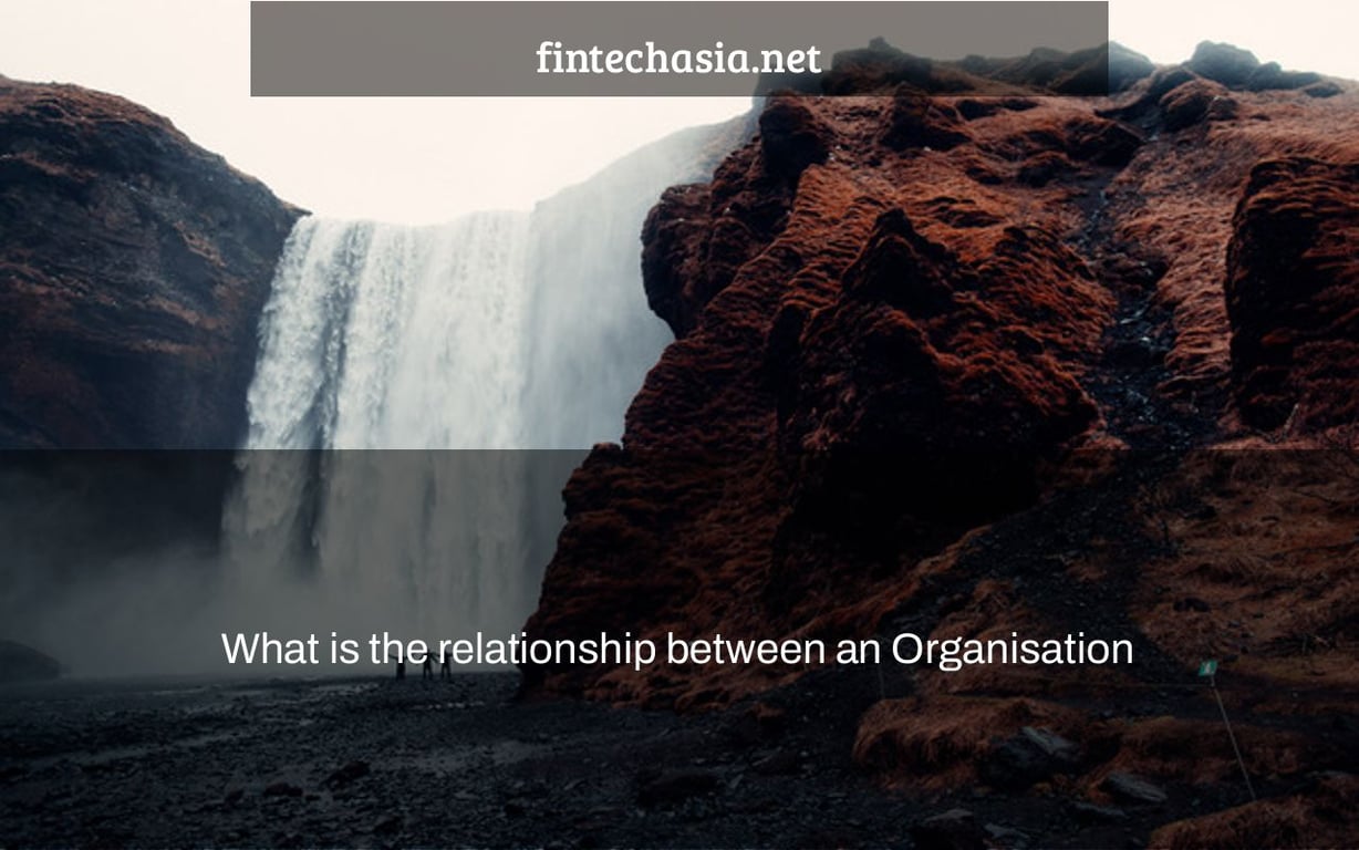 What is the relationship between an Organisation's vision mission strategy and objectives? |