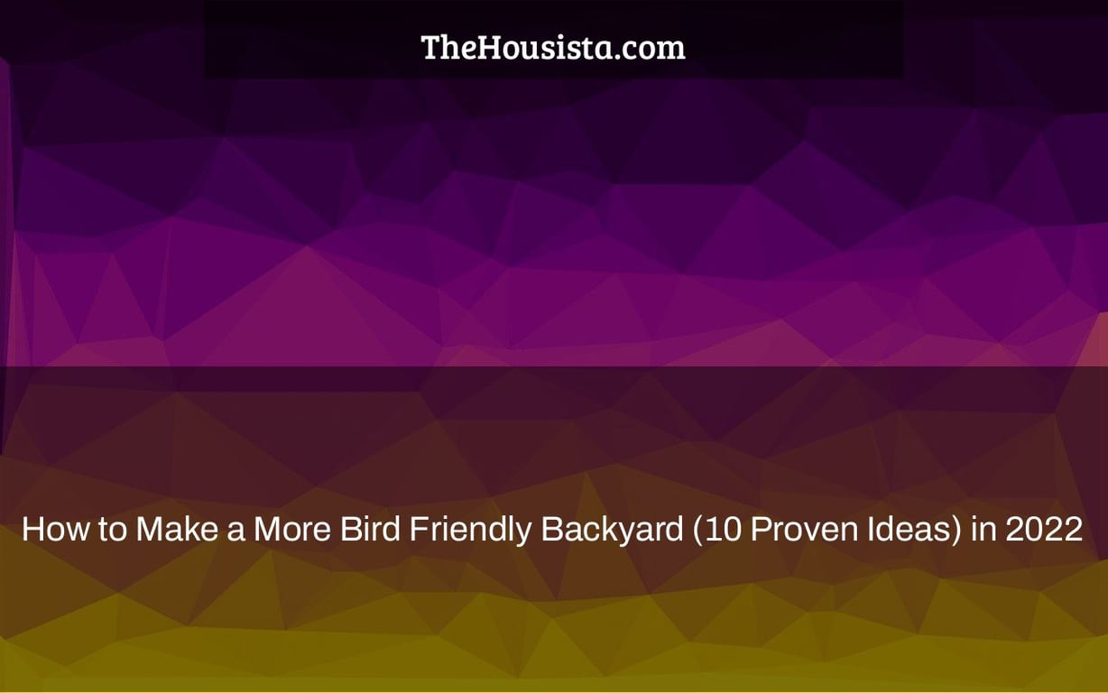 How to Make a More Bird Friendly Backyard (10 Proven Ideas) in 2022