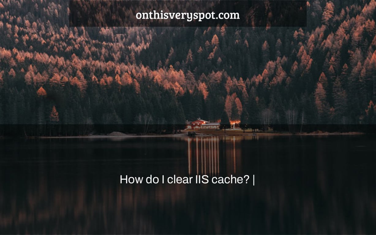 how-do-i-clear-iis-cache-on-this-very-spot