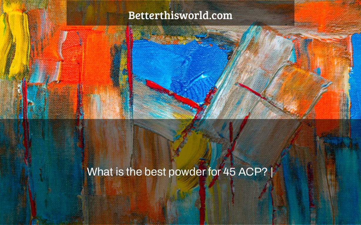 What is the best powder for 45 ACP? |