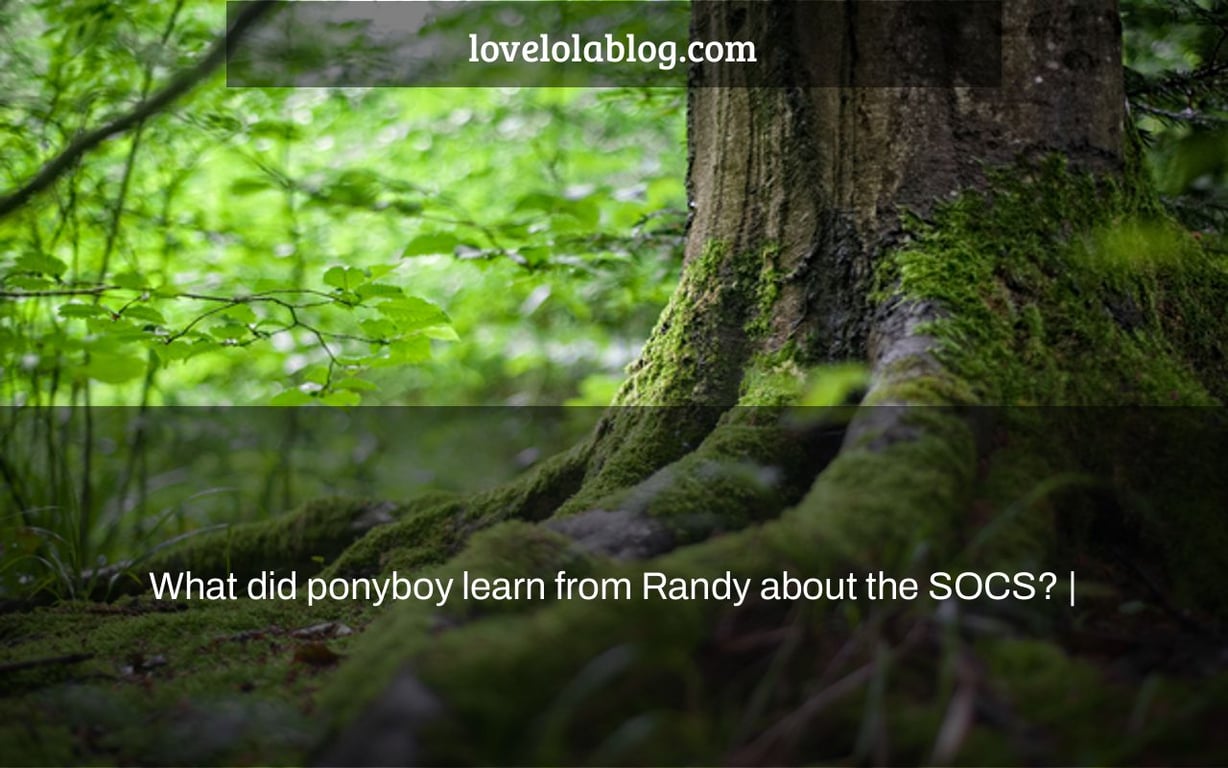 What did ponyboy learn from Randy about the SOCS? |
