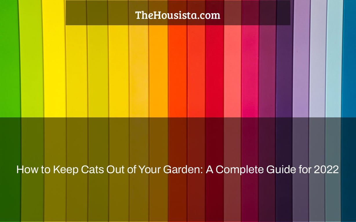 How to Keep Cats Out of Your Garden: A Complete Guide for 2022