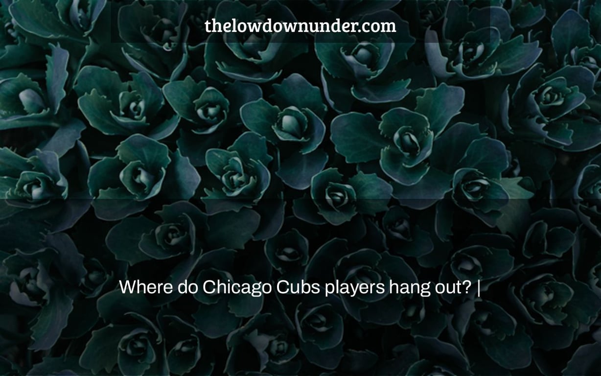 Where do Chicago Cubs players hang out? |