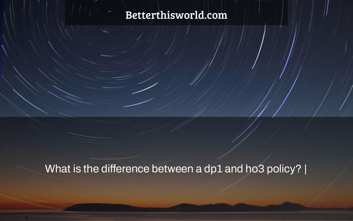 What is the difference between a dp1 and ho3 policy? |