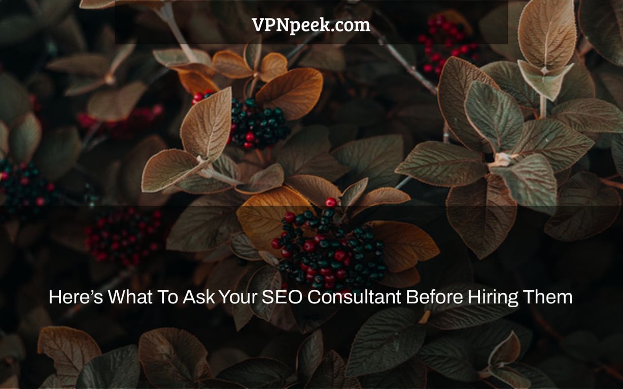 Here’s What To Ask Your SEO Consultant Before Hiring Them