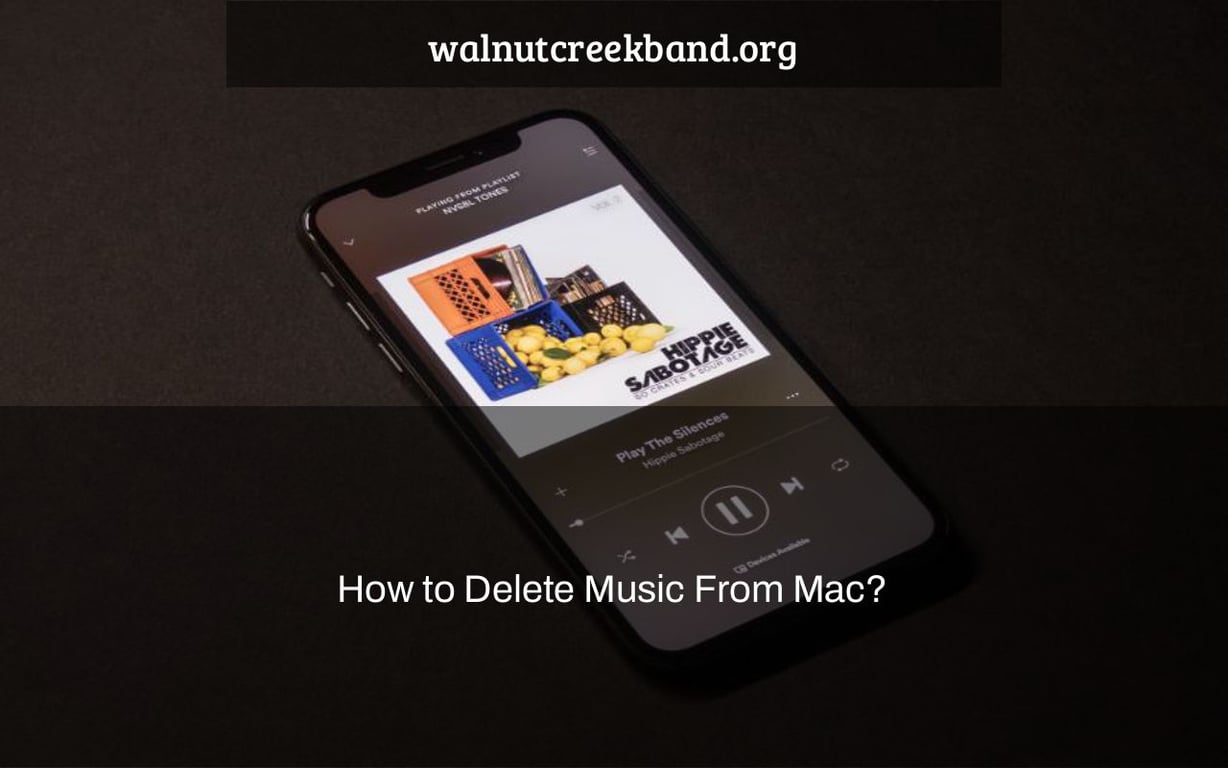 How to Delete Music From Mac?