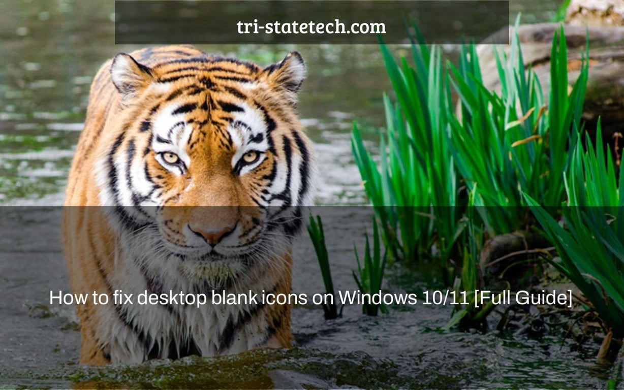 How to fix desktop blank icons on Windows 10/11 [Full Guide]