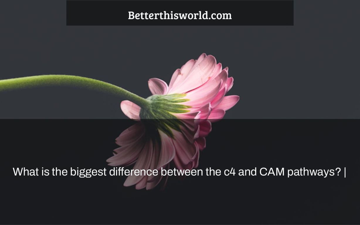 What is the biggest difference between the c4 and CAM pathways? |