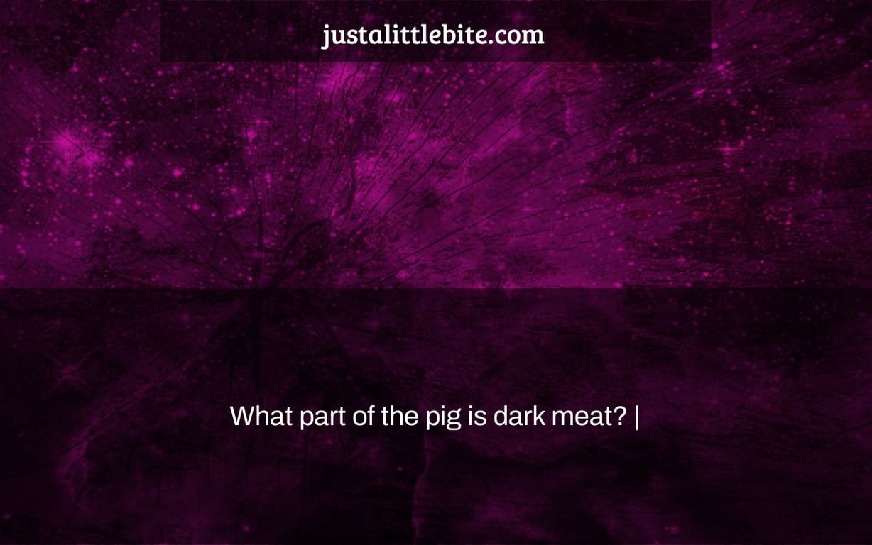 What part of the pig is dark meat? |