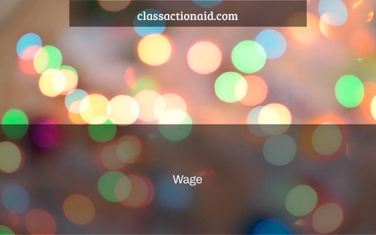 Wage & Hour Employment Lawsuit - FLSA  s