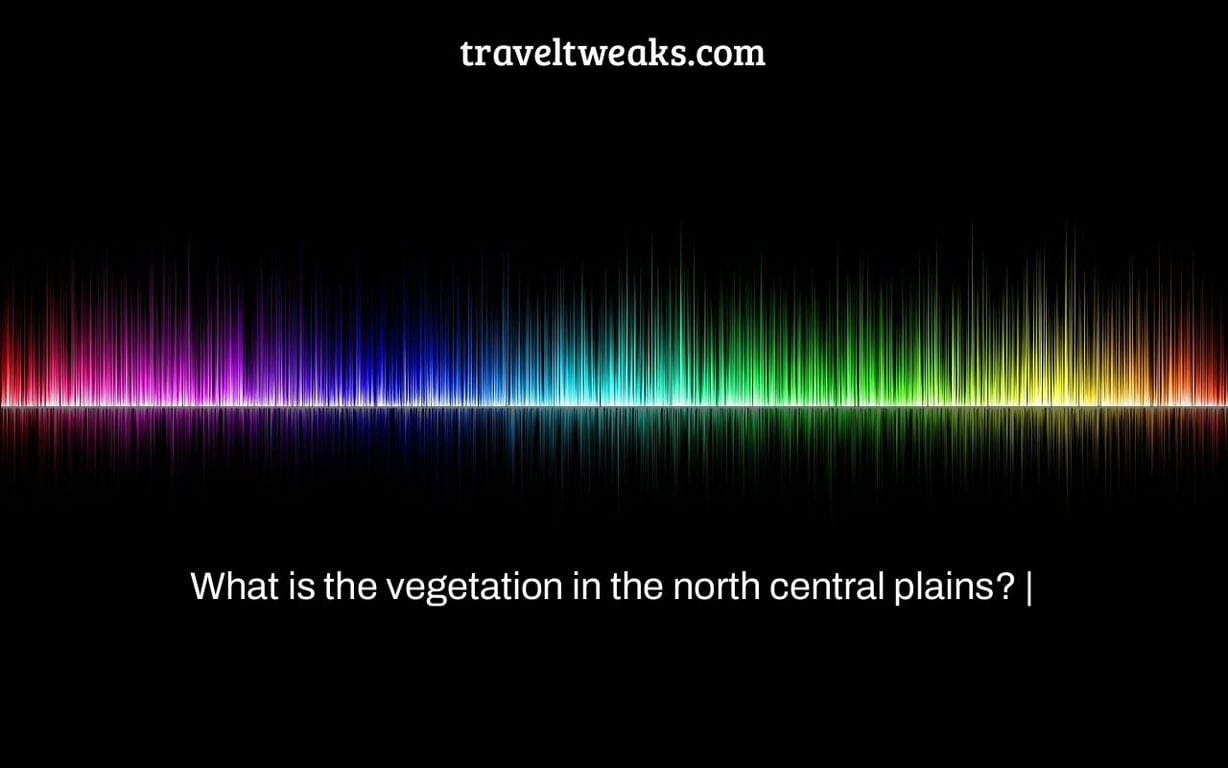 What is the vegetation in the north central plains? |