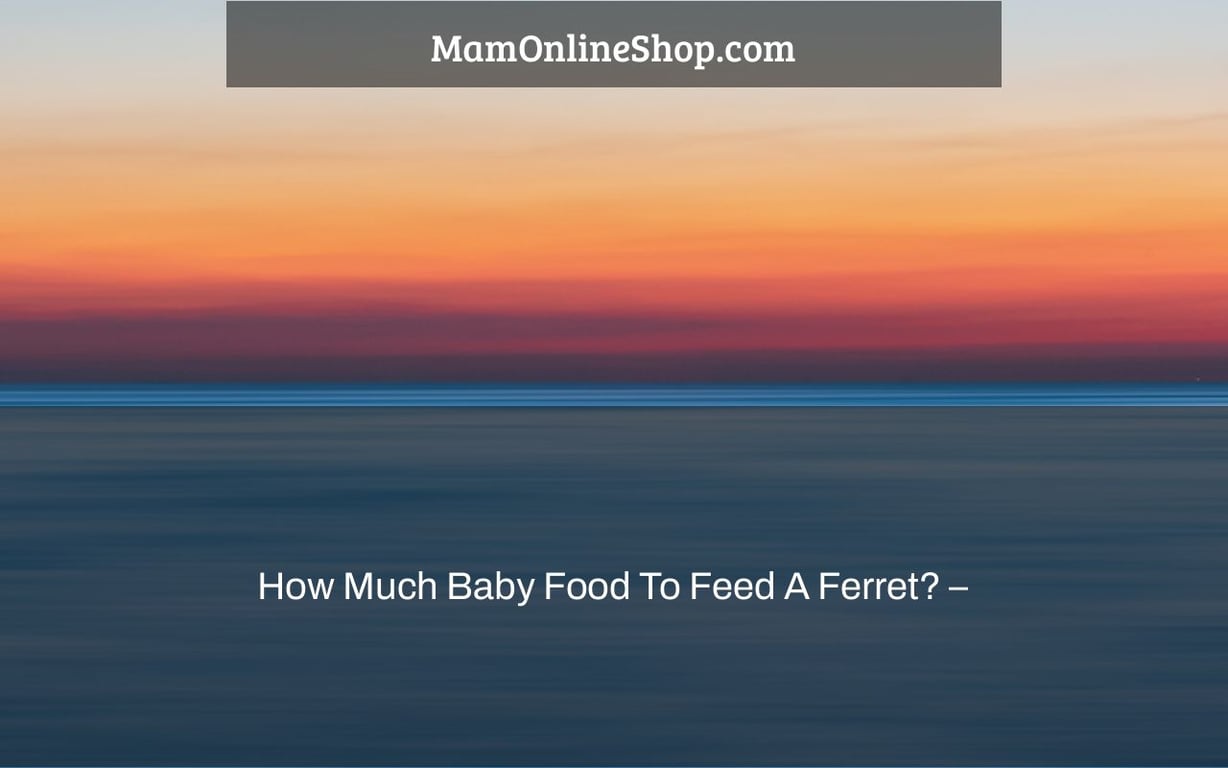 How Much Baby Food To Feed A Ferret? –