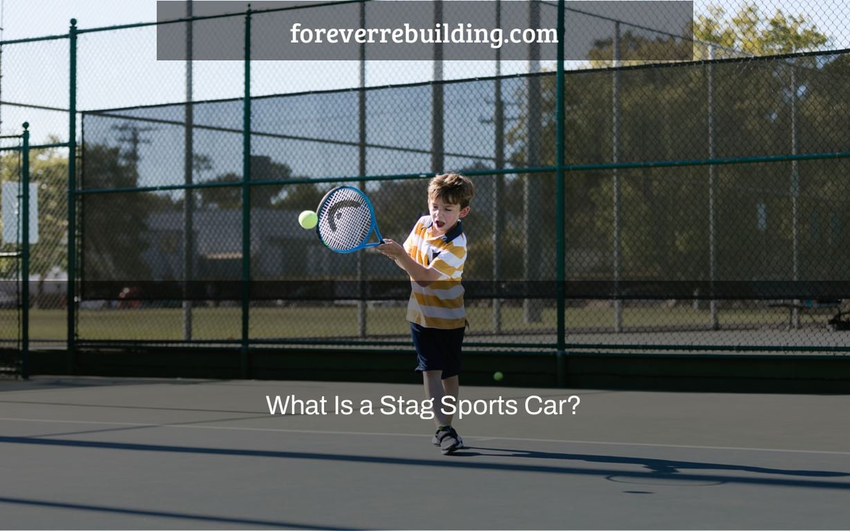 What Is a Stag Sports Car?