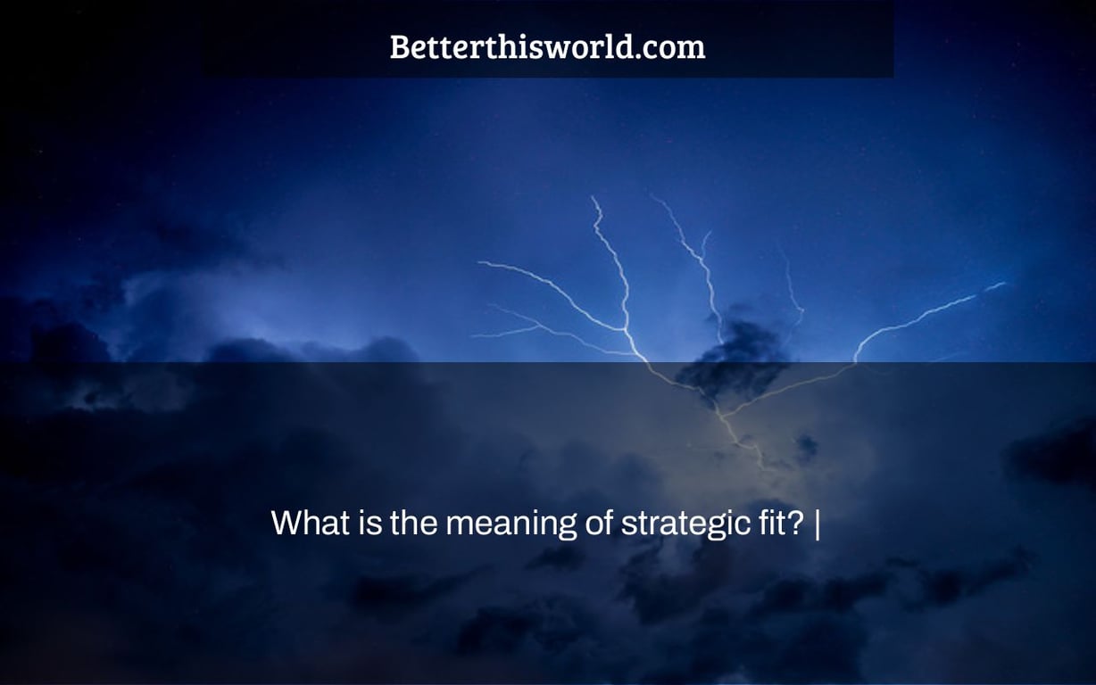 What is the meaning of strategic fit? |