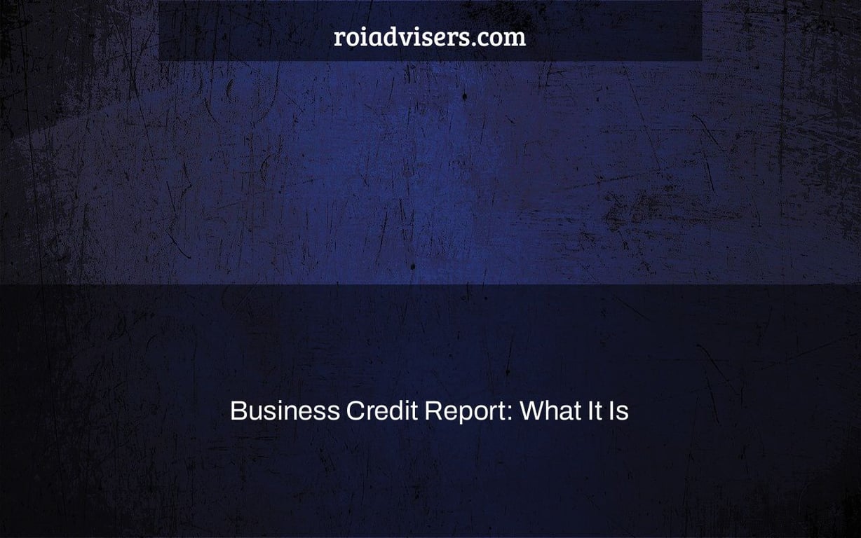 Business Credit Report: What It Is & How to Read It