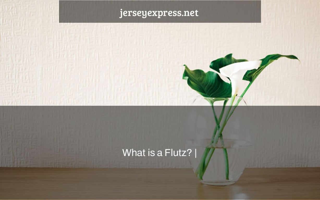 What is a Flutz? |