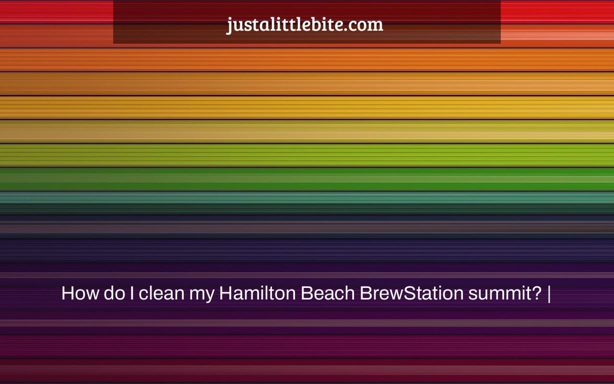 How do I clean my Hamilton Beach BrewStation summit? JustALittleBite
