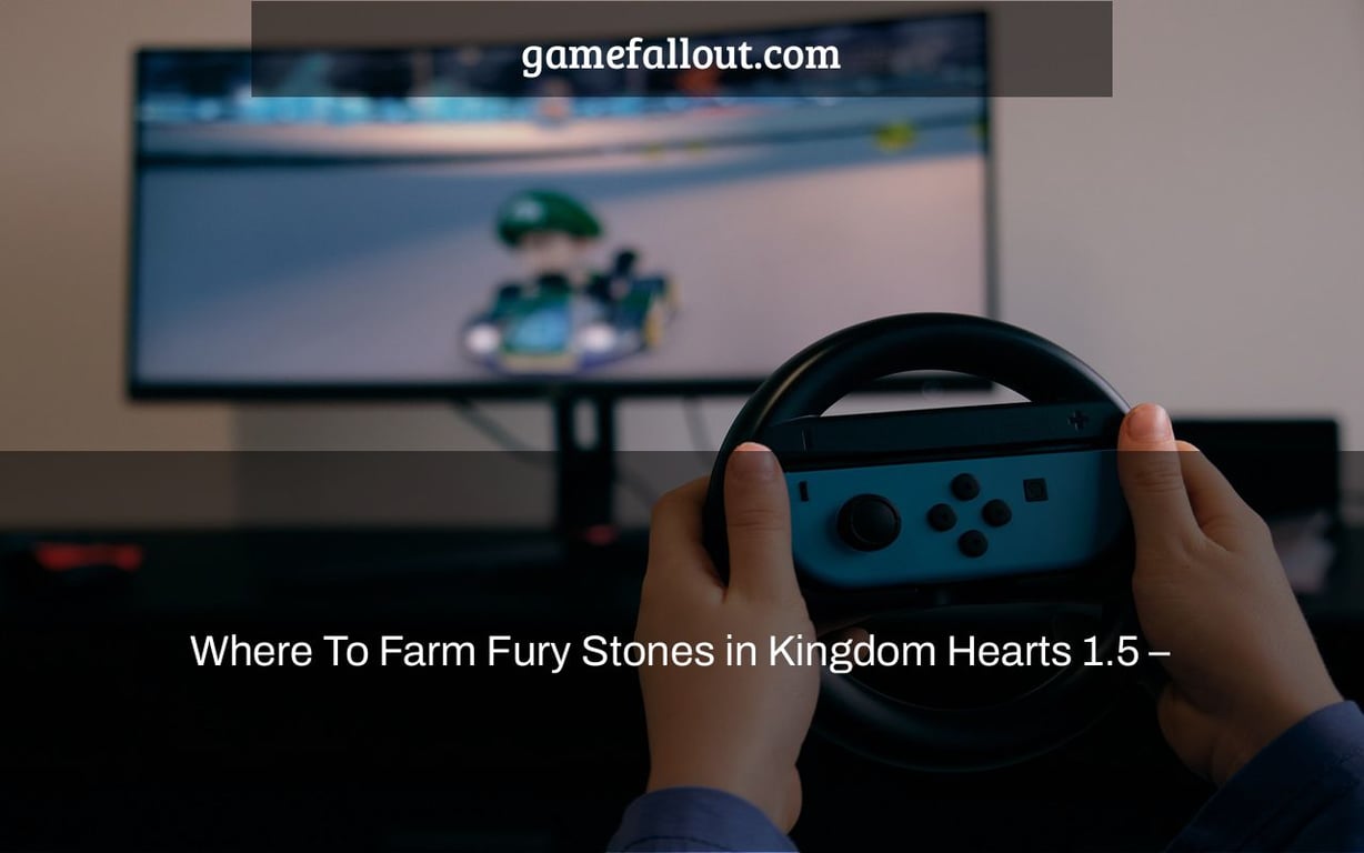 Where To Farm Fury Stones in Kingdom Hearts 1.5 –