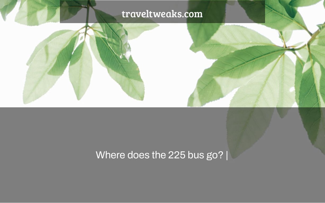 Where does the 225 bus go? |