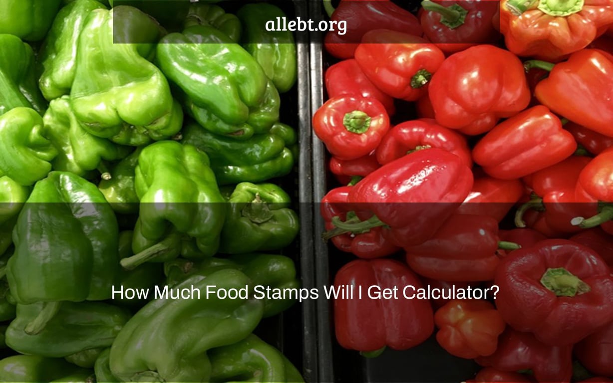 How Much Food Stamps Will I Get In Md 2025