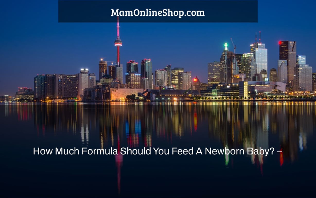 How Much Formula Should You Feed A Newborn Baby? –