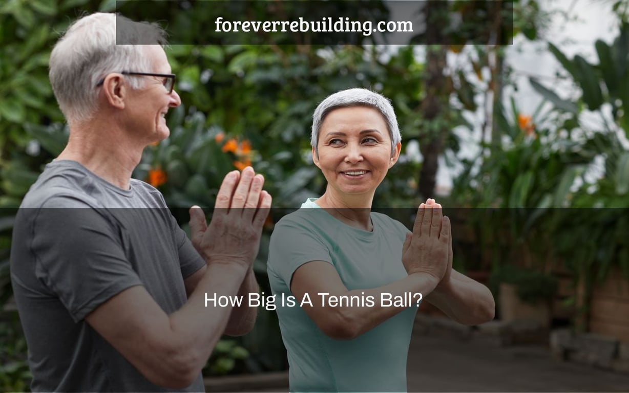 How Big Is A Tennis Ball?