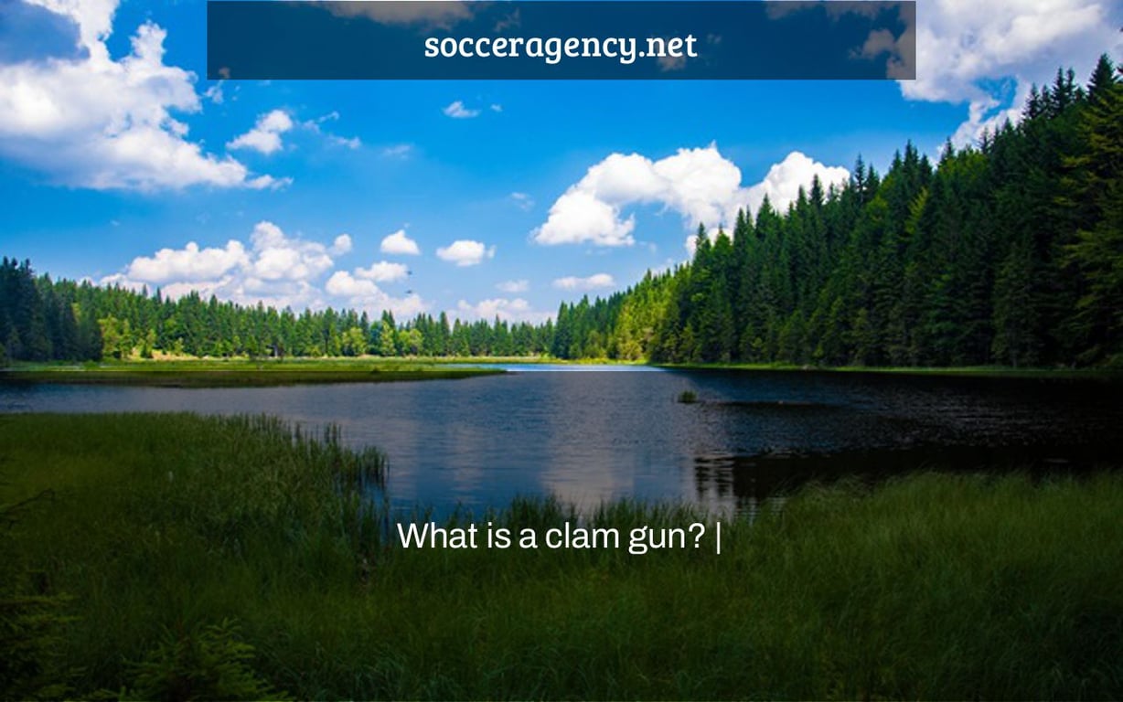 What is a clam gun? |