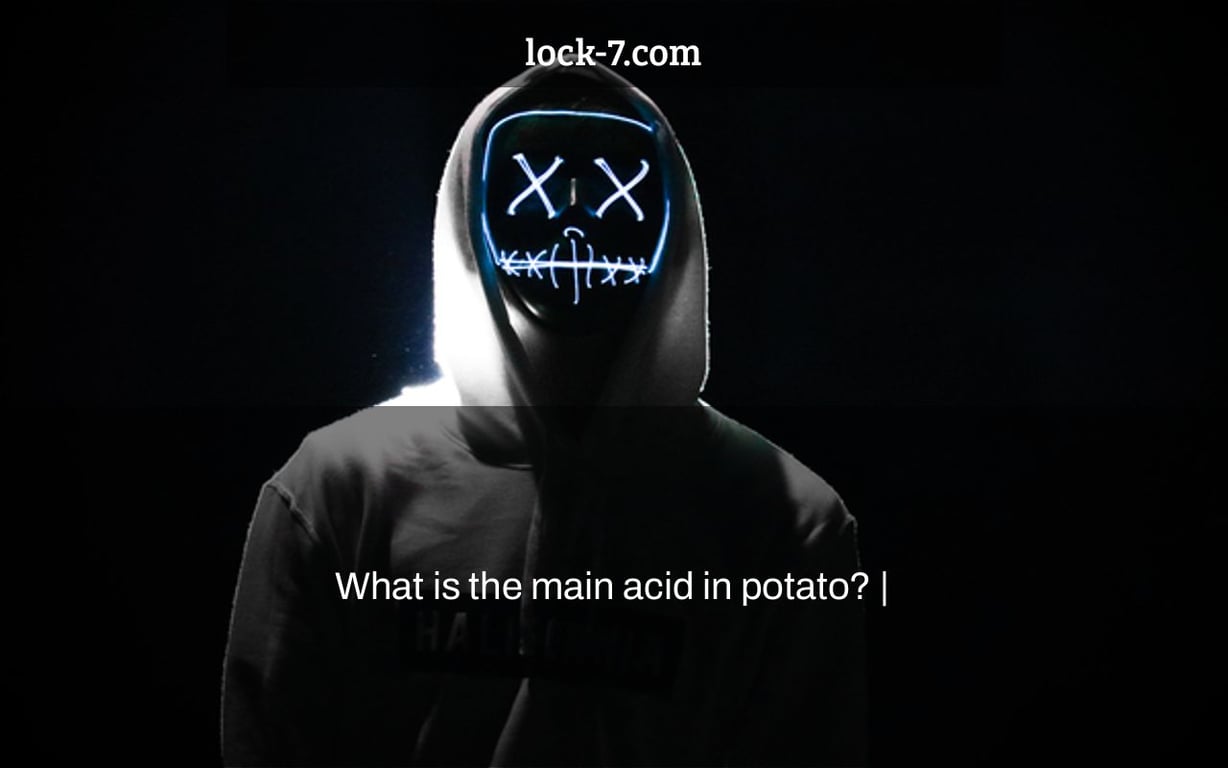 What is the main acid in potato? |