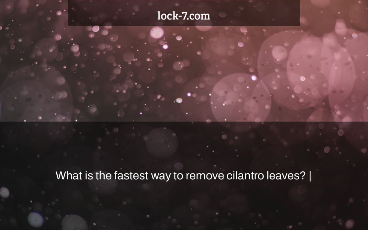 What is the fastest way to remove cilantro leaves? |