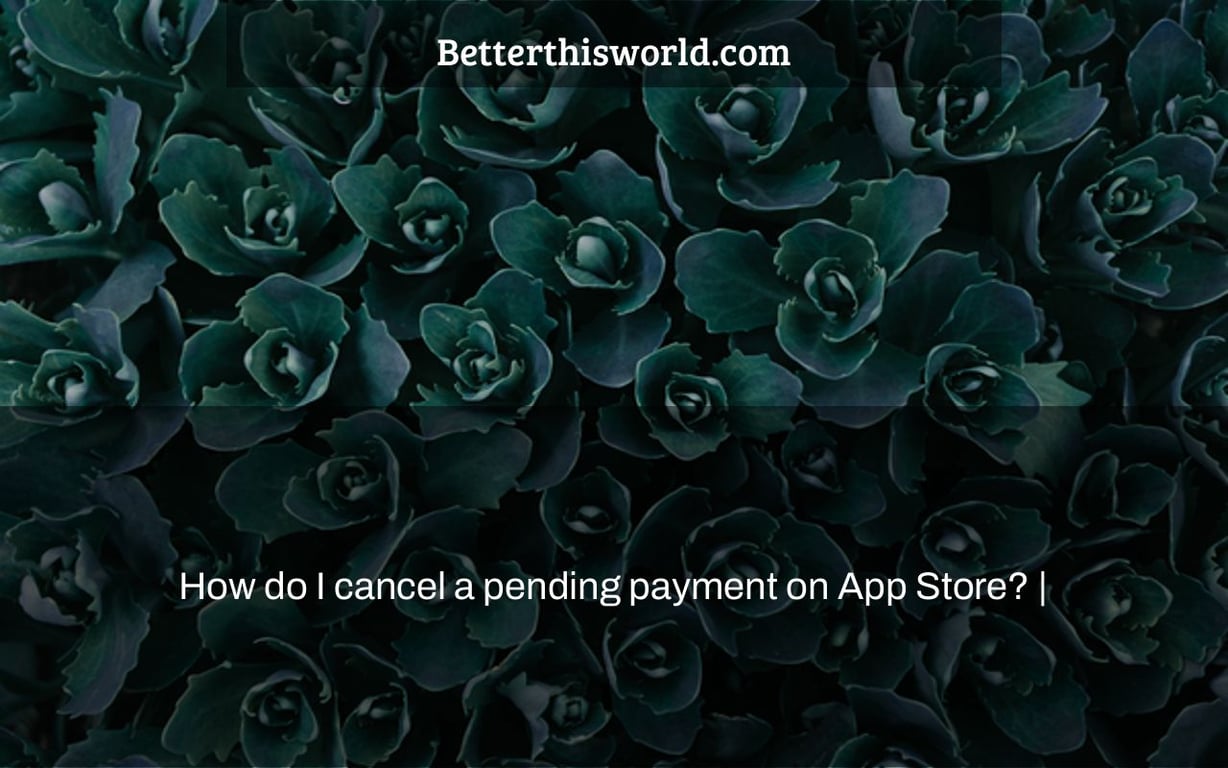 How do I cancel a pending payment on App Store? |